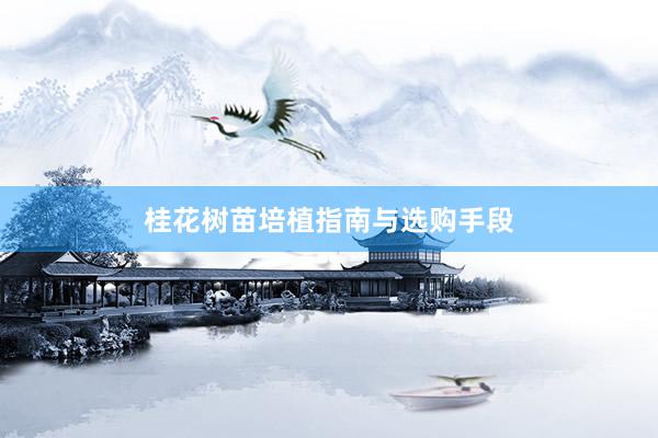 桂花树苗培植指南与选购手段